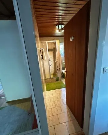 Christine Am Weissenbach Appartement *